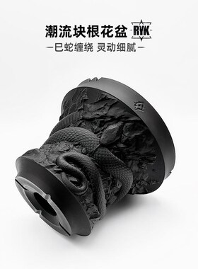 巳蛇年块根花盆仙人球龙舌兰灵蛇3d打印潮流黑色大口径Z多肉植物