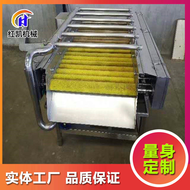 粽叶苇叶双层毛辊清洗机高压喷淋粽叶清洗机粽叶清洗机