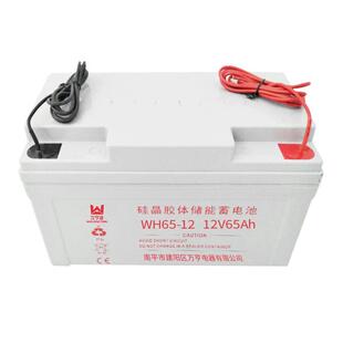 太阳能光伏铅酸电池 风能发电路灯胶体储能蓄电池 65AH蓄电池