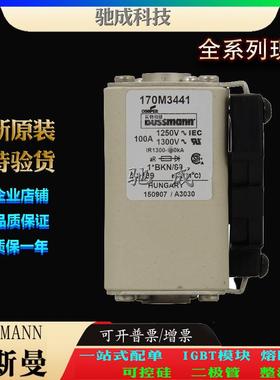 巴斯曼170M3446 170M3447 170M3448 大量现货销售 伊顿熔断器