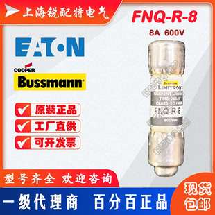 延时保险丝 600V 巴斯曼BUSSMANN熔断器 FNQ 10X38