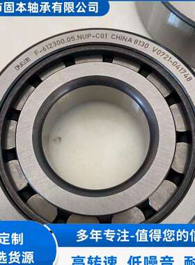 F-612300.05.NUP圆柱滚子轴承 非标轴承