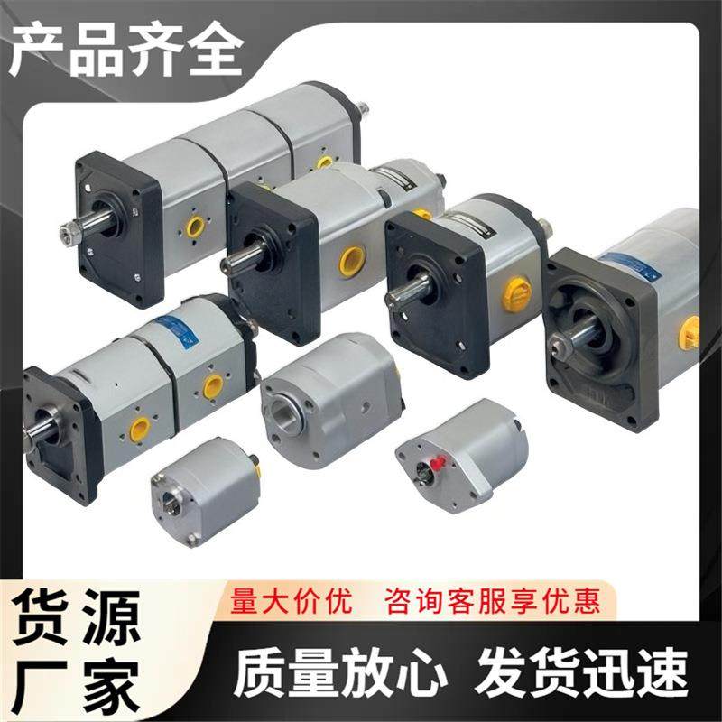 GHD2-82L-F03D27-RS06S05 液压泵 Jihostroj型齿轮泵