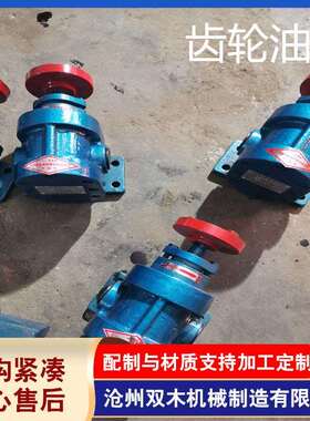 泊双木供应油泵2CY 系列齿轮油泵CB系列过滤机配套齿轮泵现货