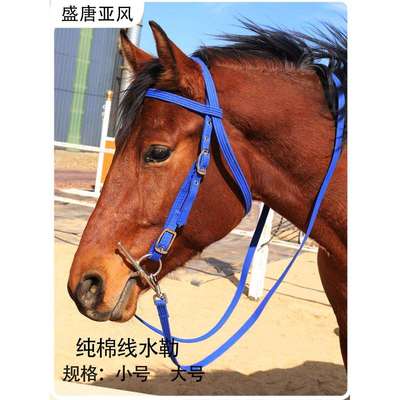 线水勒缰绳马术用品马笼头耐磨可调节大小矮马马龙头垒德株