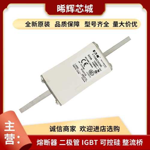 优惠 170M3461 170M3462现货 低压快速熔断器型号齐全 标准封装