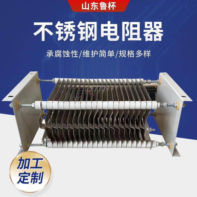 RT51-112M-6/1B不锈钢电阻器 大功率负载电阻器 RS56-160L电阻器