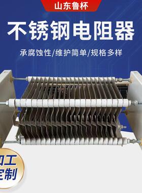 RT51-112M-6/1B不锈钢电阻器 大功率负载电阻器 RS56-160L电阻器