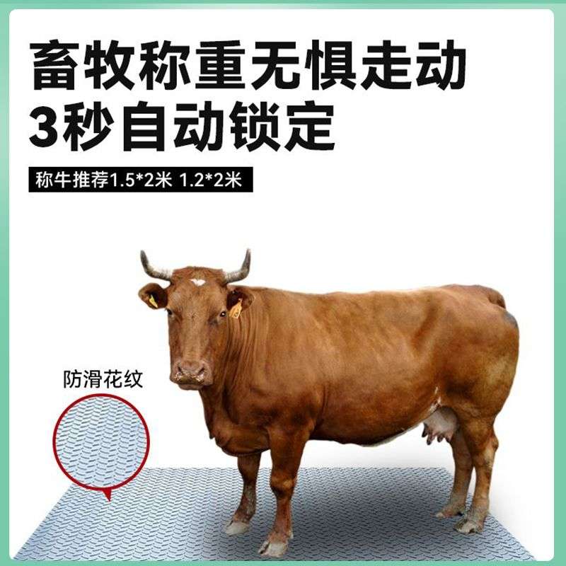 上海耀华地磅秤1-3吨加厚称猪牛防抖围栏5吨工厂物流电子小型地磅