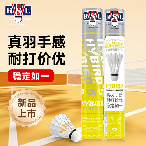 亚狮龙官方正品HYBIRD羽毛球
