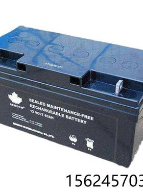 SENDON 山顿蓄电池12vOLT65AH 12vOLT100AH 12v100ah 12v65AH