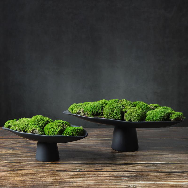 现代中式极简永生青苔藓植物盆景样板房客厅书房桌面摆件花艺盆栽