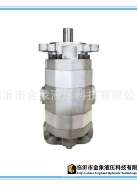 2CB-FC16/16 双联泵25/25 32/32 40/40 50/50 63/50