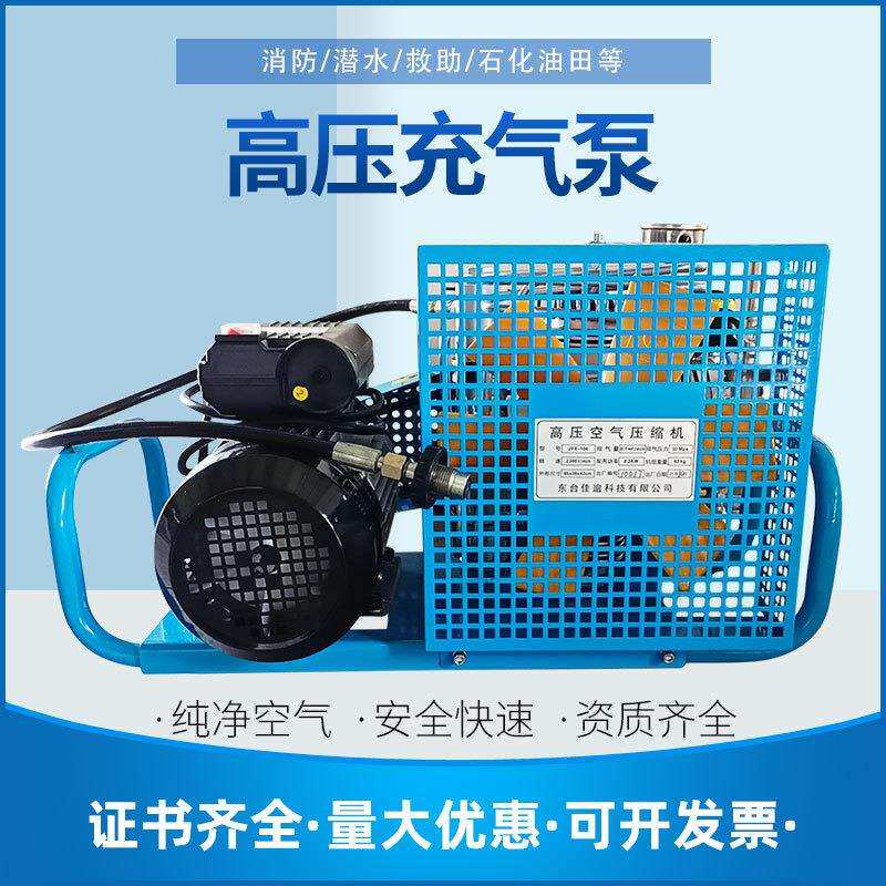 厂家潜水气瓶高压充气泵打气机空气呼吸器充气泵压缩机30mpa