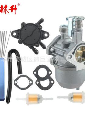 林升607954化油器带燃油泵TXT 2010-2015, for EZ-GO Valor 2010-
