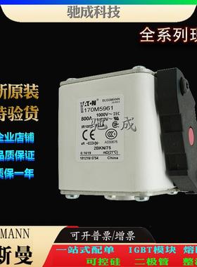 巴斯曼170M5961 170M5966 170M5967 加工制作量大价优 快速熔断器