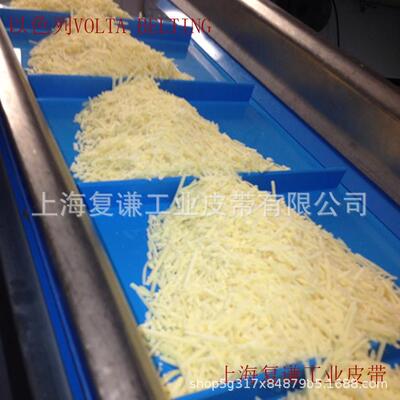 易洁带输送机水饺输送带肉类分割输送带食品级输送带VOLTA输送带