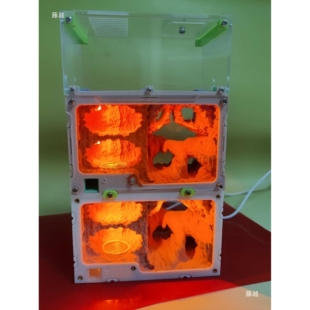 蚂蚁城堡带灯无限扩展拼接新型蚁巢混凝土蚁巢蜜罐蚁天空之城