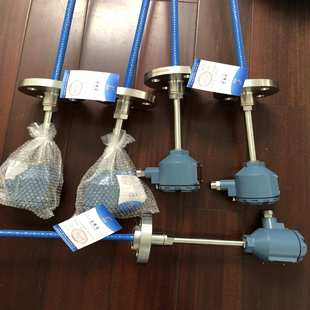 440dIICT6 防爆热电阻WZP Pt00防爆热电阻WZP2 240直形管接头式