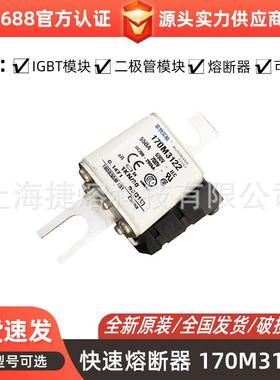 170M3122 170M3142 170M3144直流快速熔断器 电子元器件 库存充足