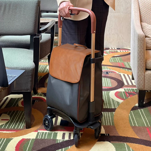 老人安全扶手拉杆箱带煞车防滑助步行器家用逛街买菜W购物小推拉