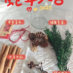 肉桂生财瓶摆件招财玻璃瓶花瓶diy材料客财厅位乔迁新居搬家用