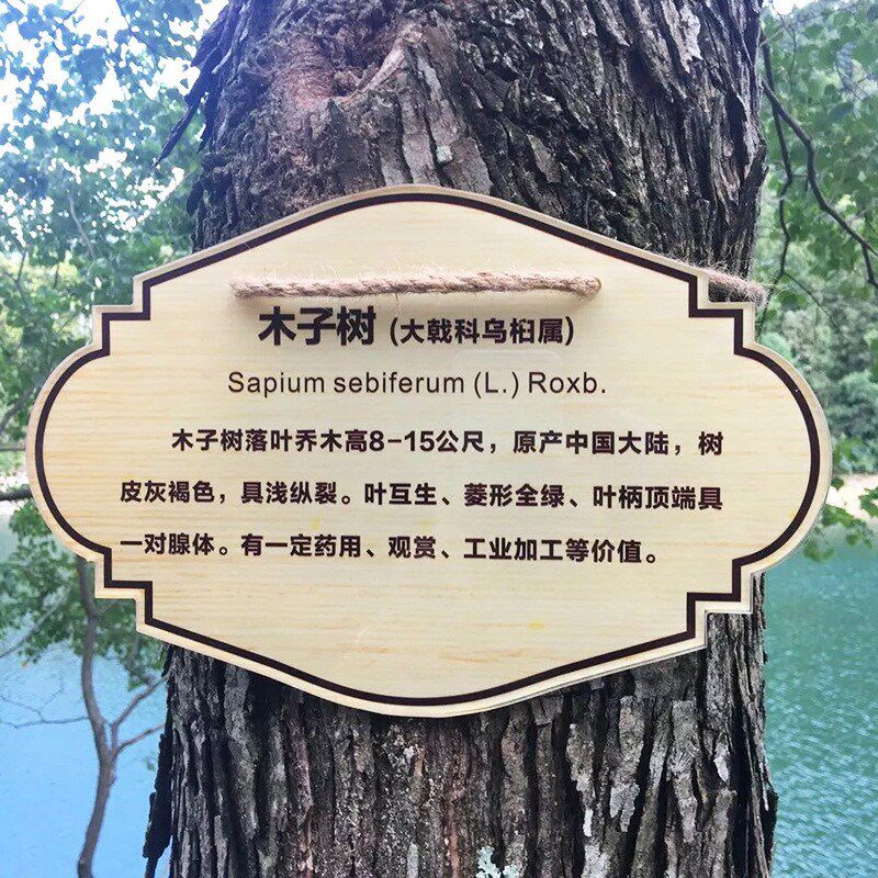 金属仿木纹景区宣传栏导视牌不锈钢烤漆温馨提示牌花草牌