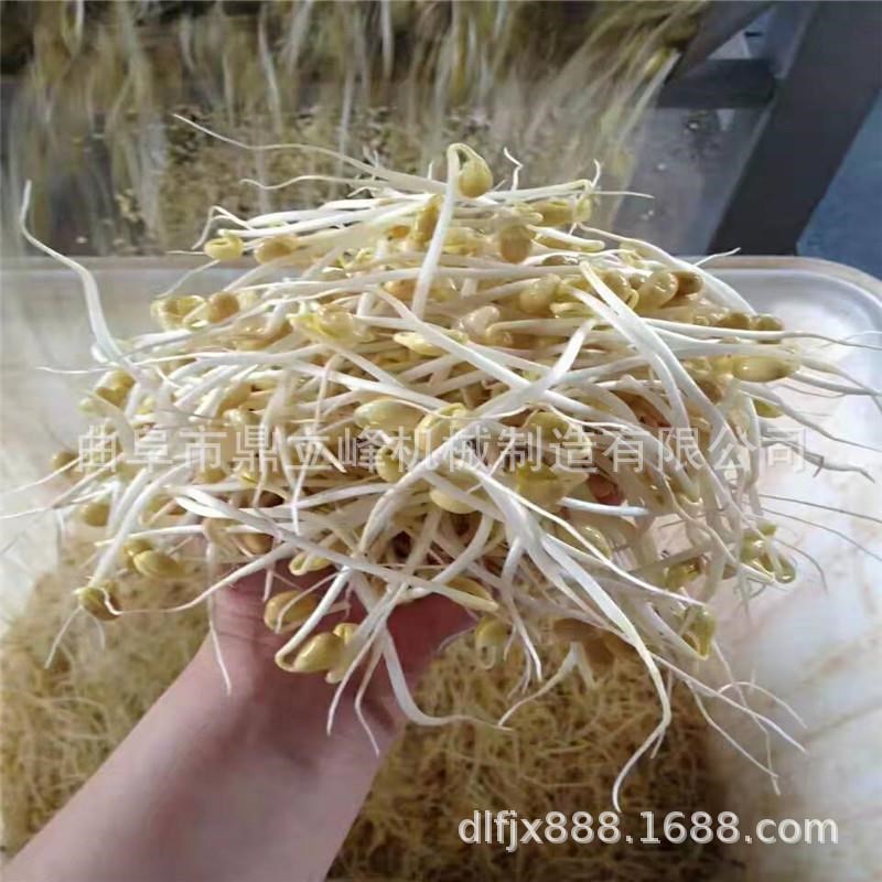 全自动小型家用豆芽机豆制品设备渭南地区芽苗机商用豆芽机