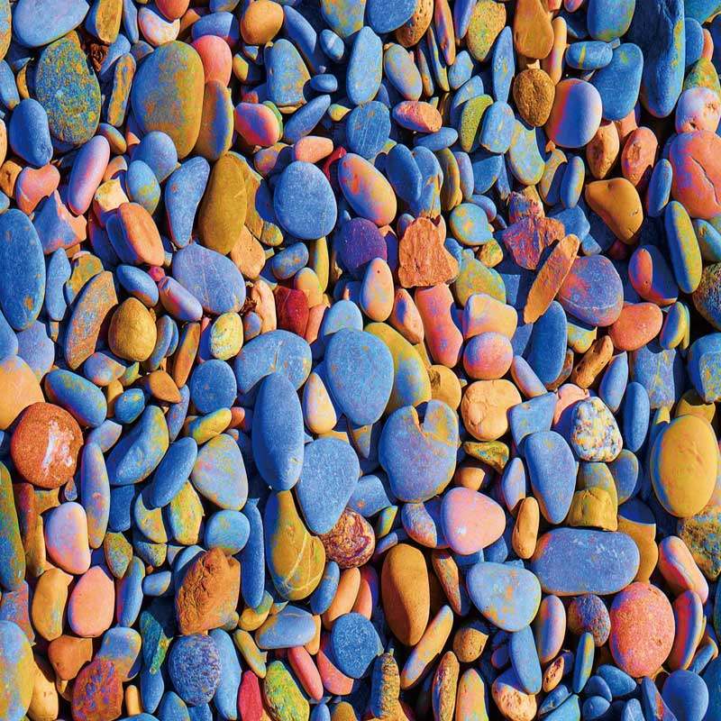 鱼缸底部贴纸背景底色底景底画底板造景水族箱装饰铺底外贴鹅卵石,宠物/宠物食品及用品,底柜/落地缸,淘宝优惠券,粉丝福利购,淘宝优惠卷