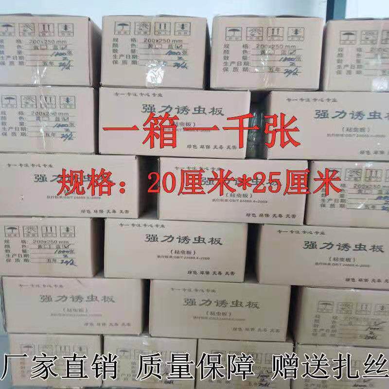 粘虫板黄板双面诱虫板黄色黏板蓝板蓟马灭小飞虫R沾杀果蝇大棚果