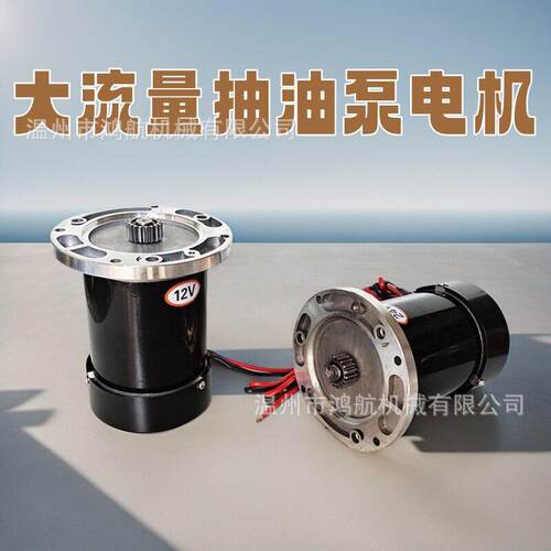 YTB-100大流量抽油泵电机12V24V220V加油机YB-110自吸滑片泵马达