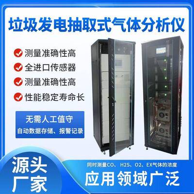 垃圾发电填埋渗滤液抽取式分析仪恶臭甲烷CO氧气硫化氢气体检测仪