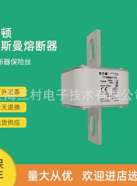 全新原装快速熔断器保险丝170M6731 6732 6734 6738 6739现货