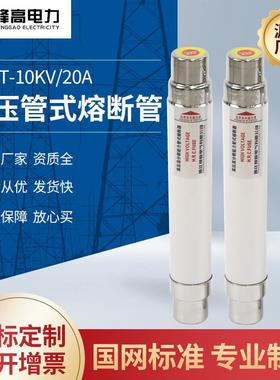 厂家供应管式熔断器电动机保护熔断器XRNT-10KV-20高压交流熔断器