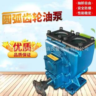 圆弧齿轮油泵油罐车加油车齿轮泵高粘度抽油泵柴油汽油防爆泵