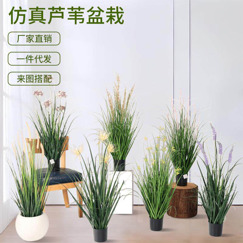 北欧仿真芦苇洋葱草油菜花猫尾巴假绿植盆栽室内客厅落地装饰摆件