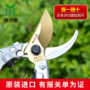 家用粗枝剪修枝剪修花剪园艺剪刀园林果树修剪树枝剪刀花剪工具