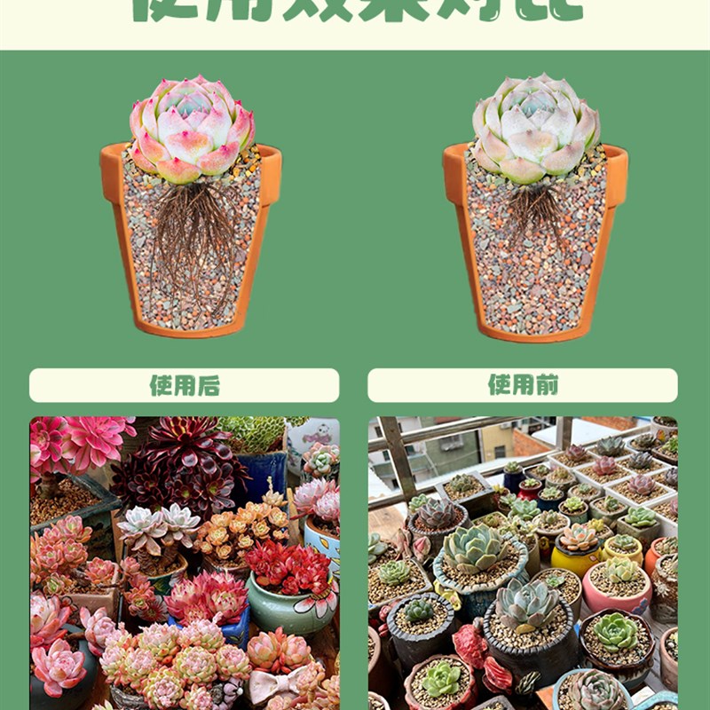 萌芽熊多肉土颗粒多肉植物营养种植土壤铺面石叶插纯颗粒花土