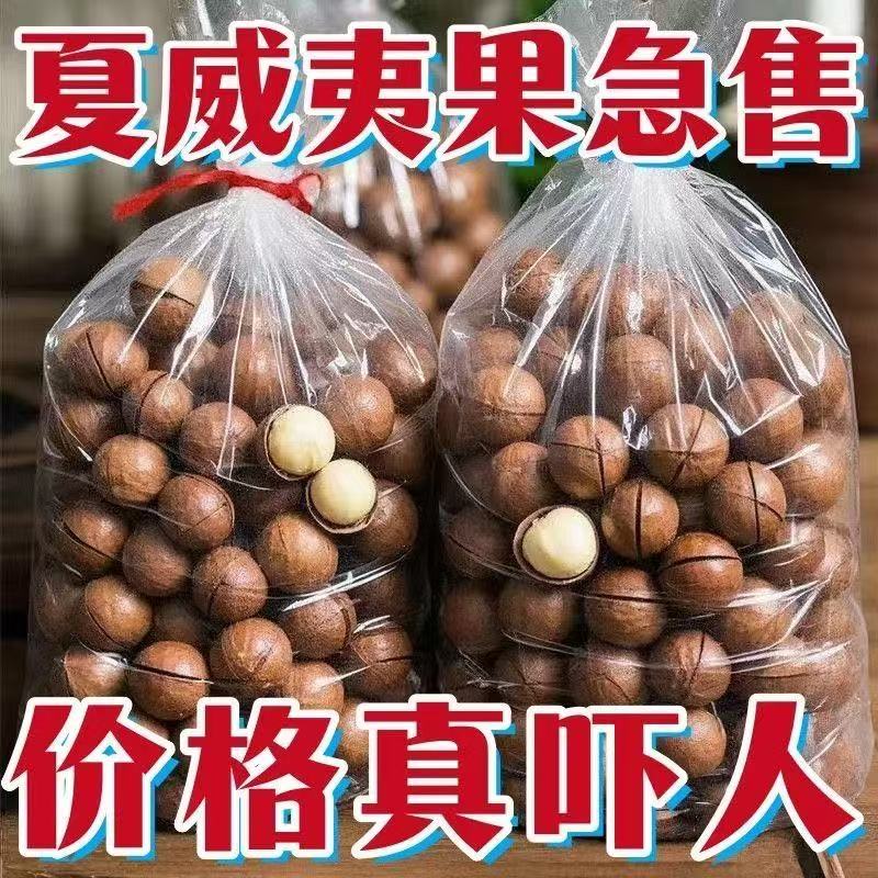 新货特价】正宗夏威夷果奶油味薄皮坚果炒货休闲零食送开壳器马勃