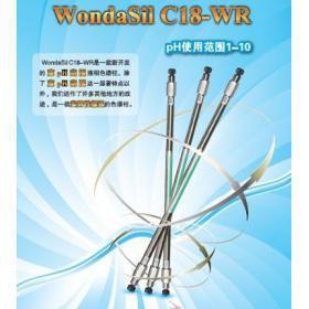 岛津WondaSil C18-WR 5um 色谱柱实验室配件耗材