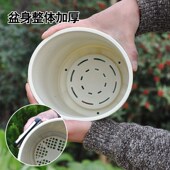 时尚 简约塑料小花盆文竹多肉加厚树脂简约家用办公室花盆