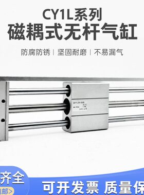 /50-10-0YC250-30400-Y40/1L1L150032-B0CD0无杆气缸20磁式60偶 0