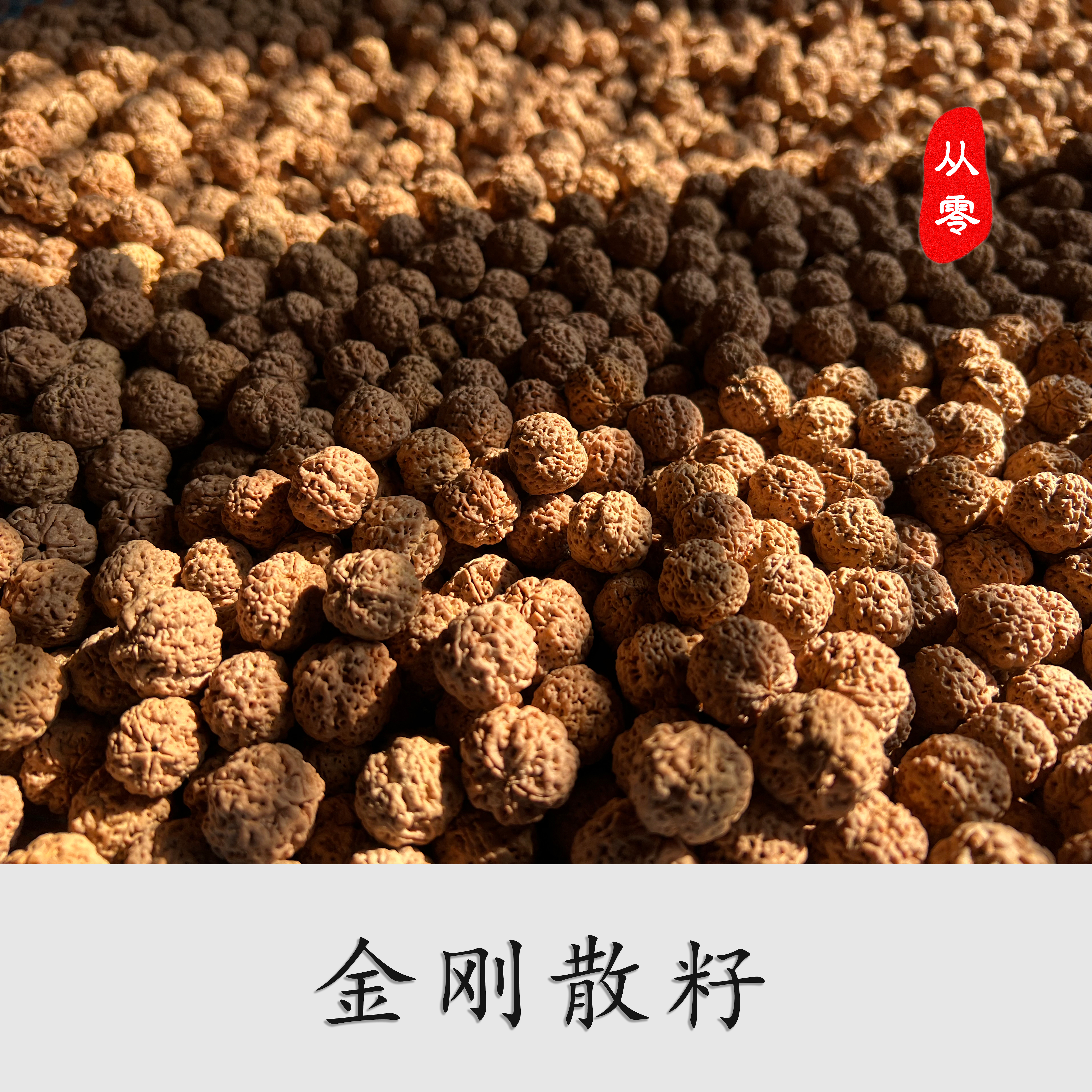 「散籽」尼泊尔大金刚菩提子天然原生态高油高密原籽飞碟镂空EDC