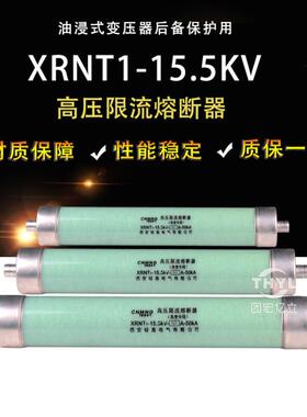 XRNT1-15.5KV/125A 50KA高压熔断器 美式箱变用 油浸式后备保护
