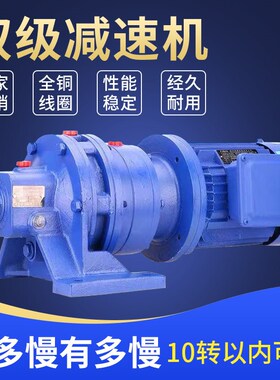 BWED双极摆线针轮p减速机三相380V搅拌纯铜芯游乐场低速马达