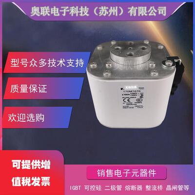 熔断器 170M5494 170M5495 170M5496 170M5497 170M5498 170M5499