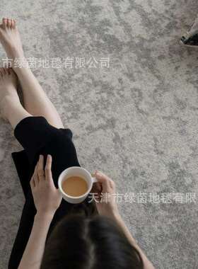 土耳其丙纶客厅地毯高级灰色沙发茶几毯极简现代轻奢满铺卧室毯