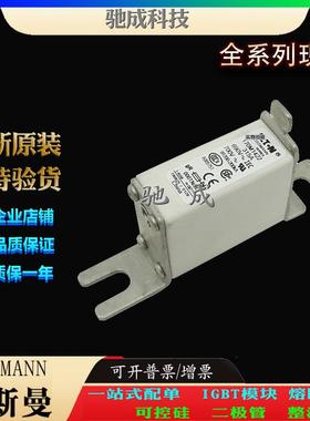 巴斯曼170M1422 170M1458 170M1459 厂家直供零售 快熔保险丝