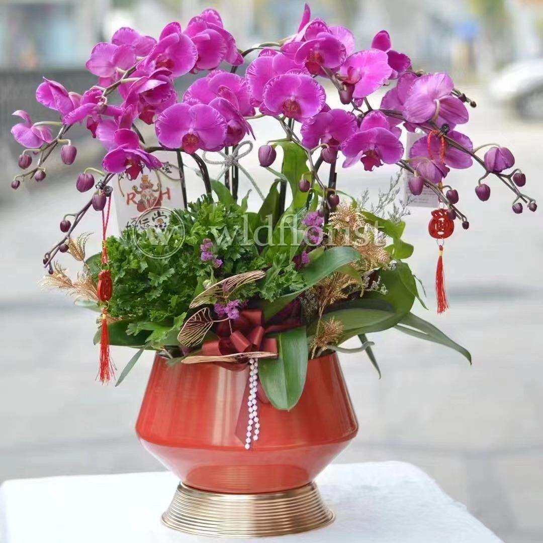 轻奢蝴蝶兰花盆银柳冬青假花年宵花福桶插花摆件聚宝盆金属花器