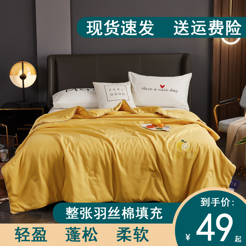 空调被夏凉被薄款被子夏季双人水洗棉可机洗单人儿童夏被春秋被芯,床上用品,化纤被,淘宝优惠券,粉丝福利购,淘宝优惠卷